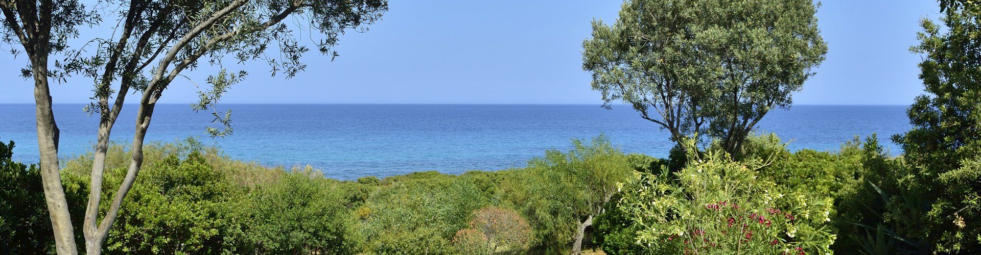 View across the wide garden towards the blue sea