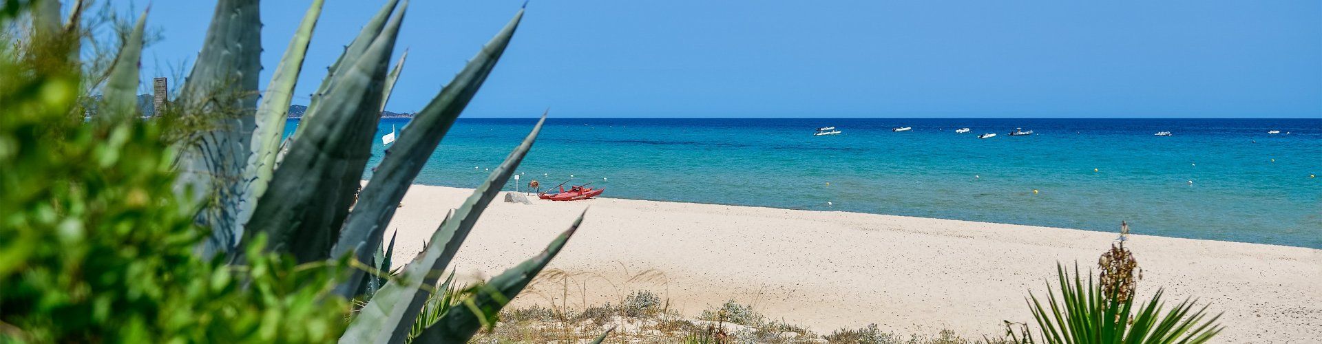 Beach in front of the house 