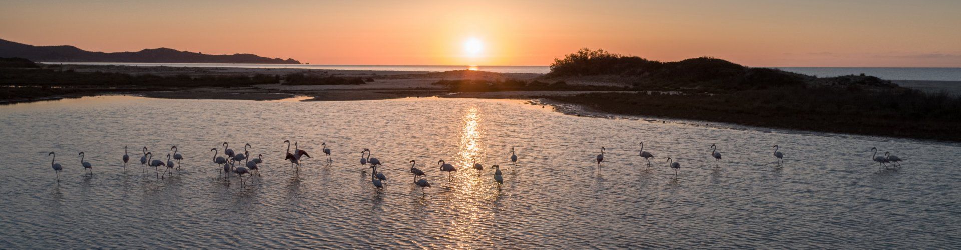 Sardinia