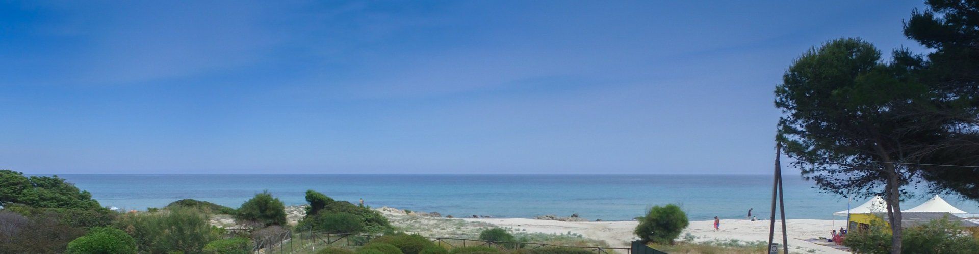 Garden on the beach