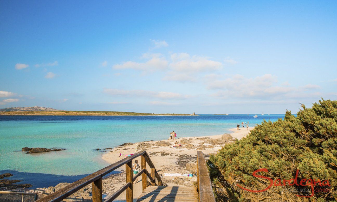 Cala La Pelosa | Access to the beach La Pelosa, Stintino Access to the beach La Pelosa, Stintino