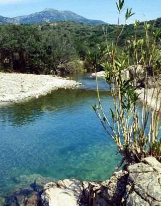 Riu Ollastu, Muravera