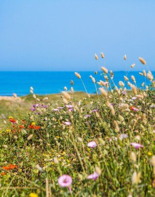 
Sardinian nature