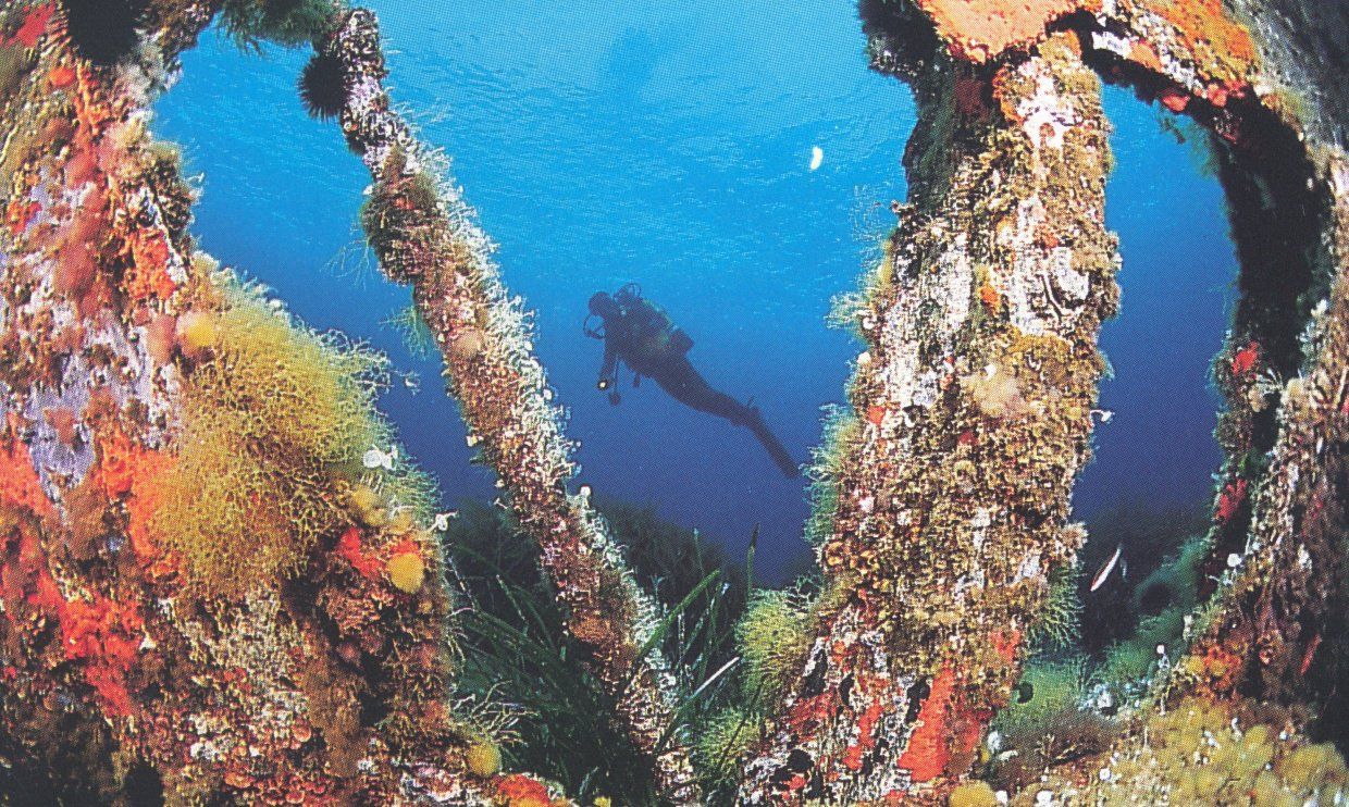 Diving in Sardinia explore an underwater paradise