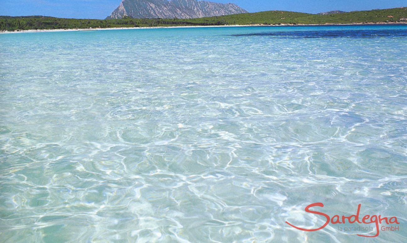 Villa Maestrale | Crystal clear Sea in the north of Sardinia Crystal clear Sea of S. Teodoro
