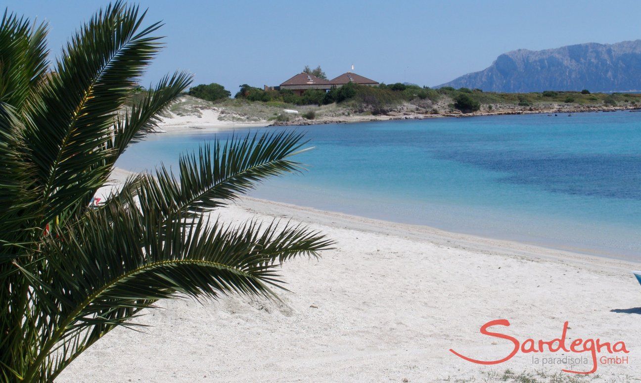 Villa Caterina | Beach Nodu Piano Beach Nodu Piano