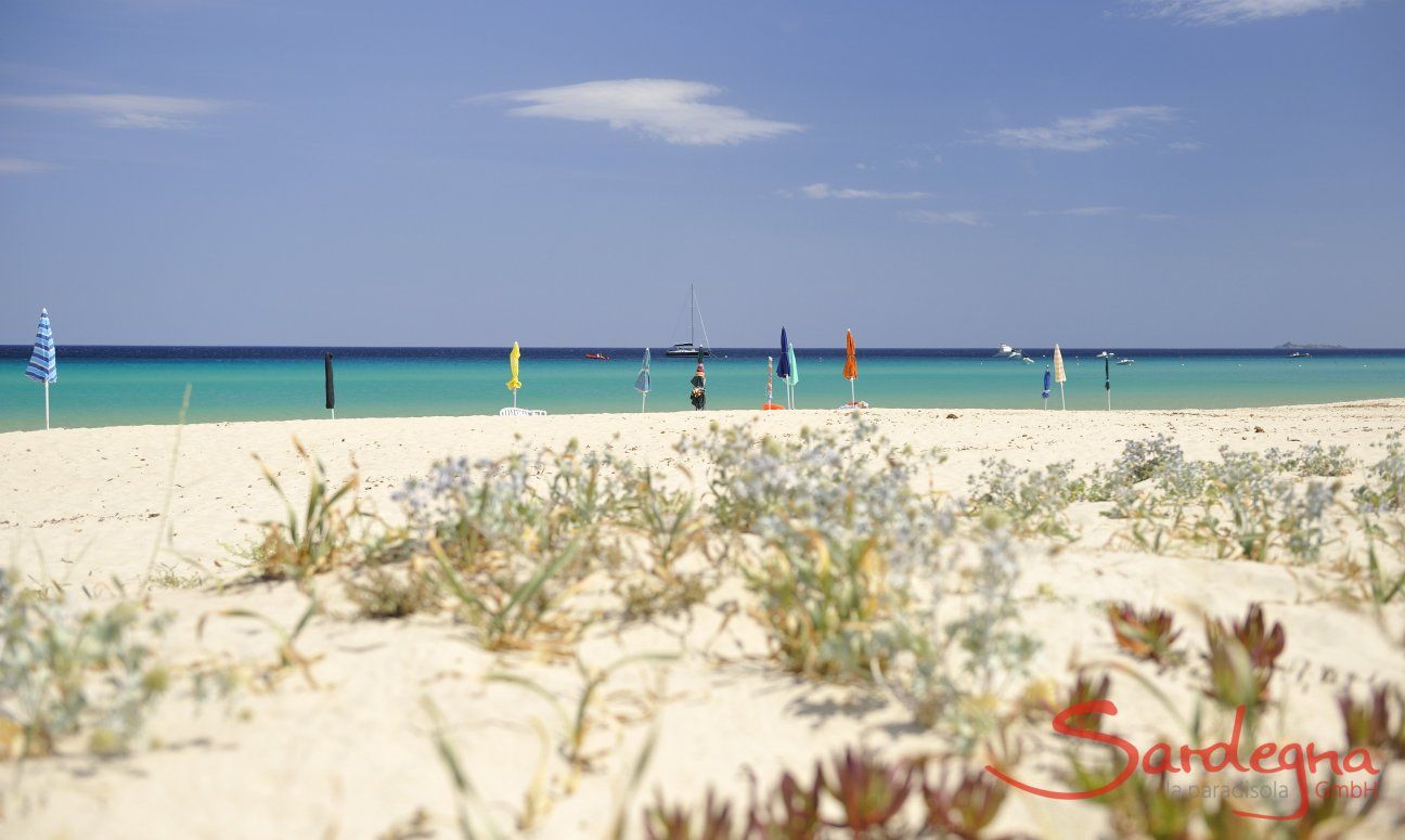 Beach of Costa Rei