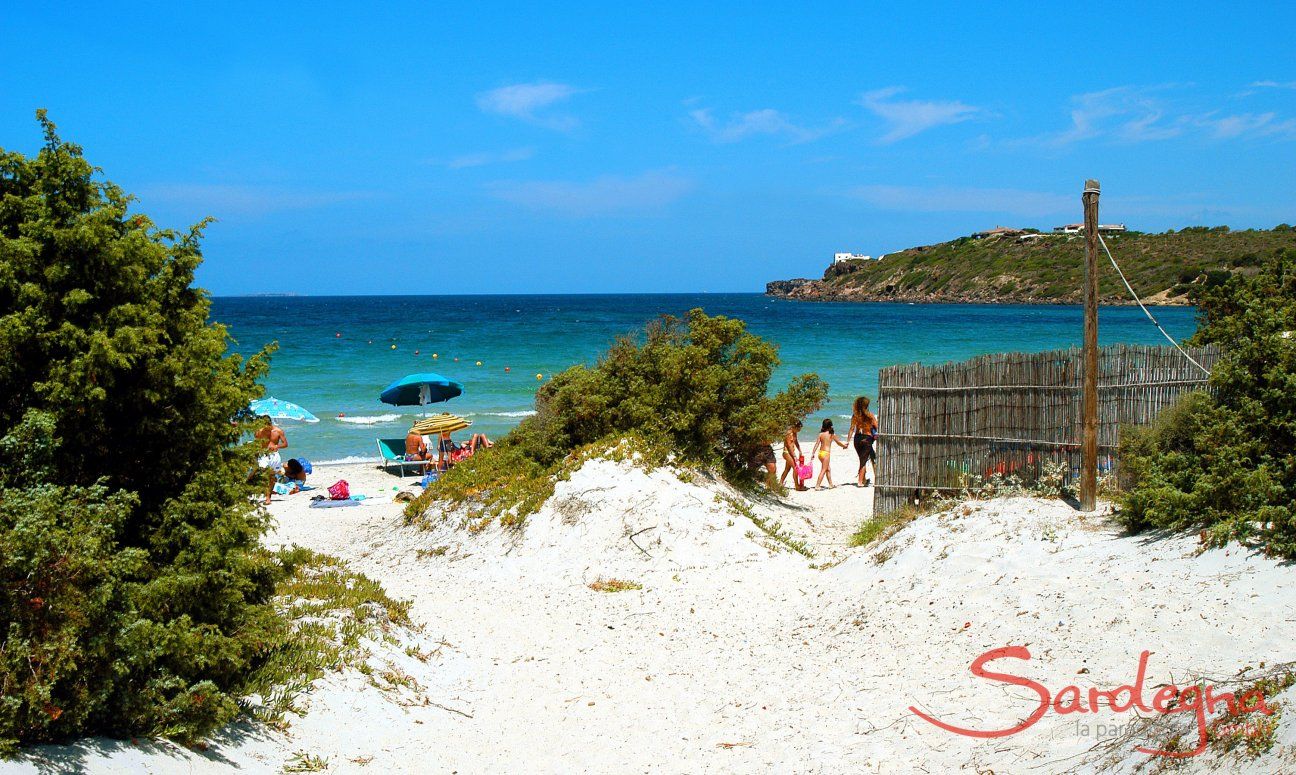 Beach Le Saline in Calasetta