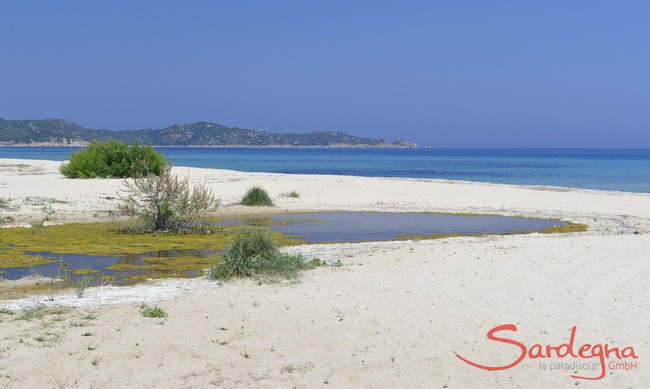 Beach in front of the house