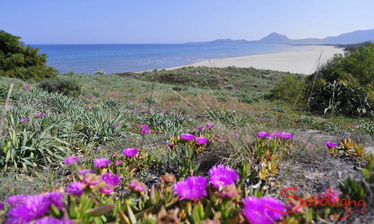 Beach in front of the house