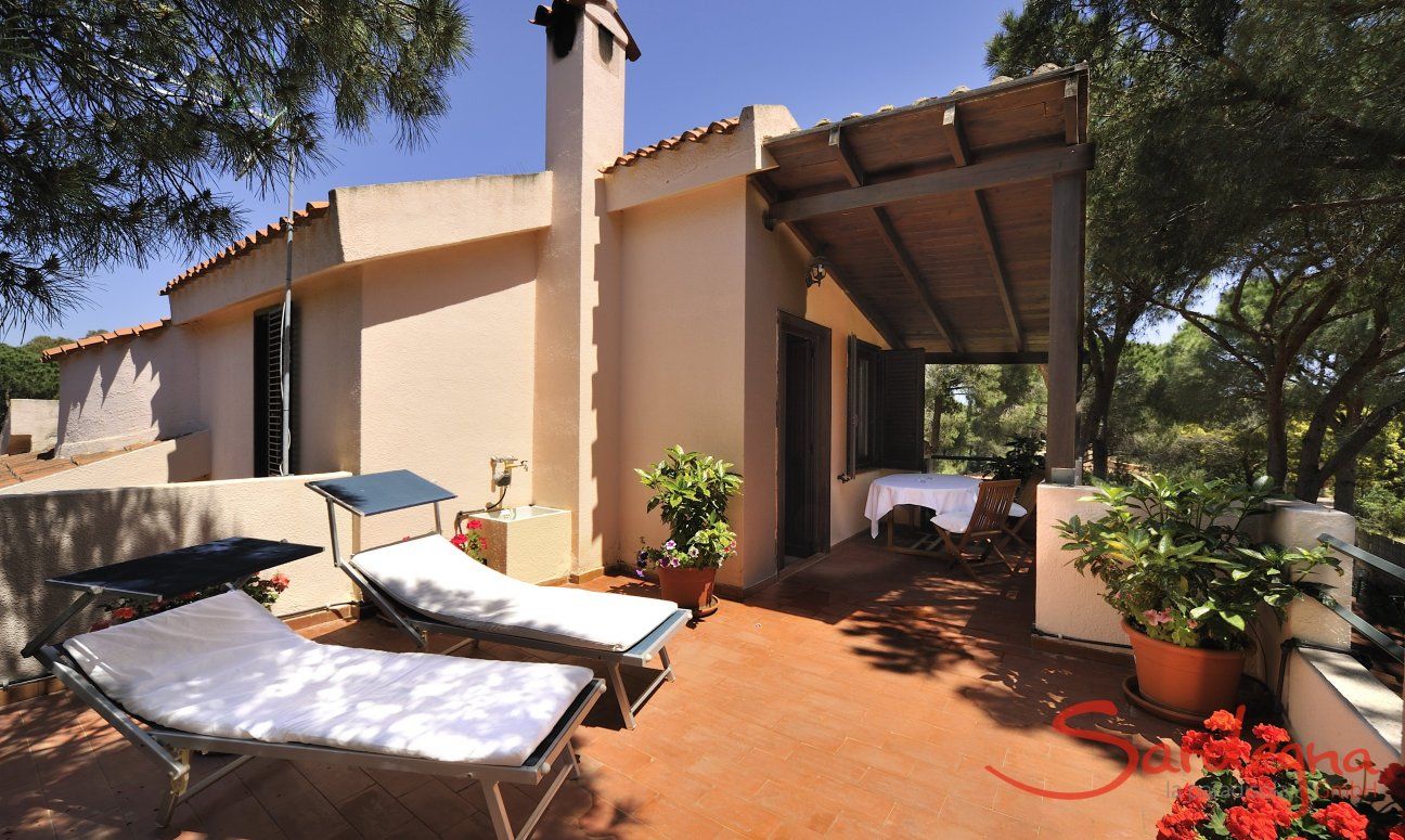 App. Pino | Terrace with blooming flowers, sun loungers and dining table App. Pino Terrace