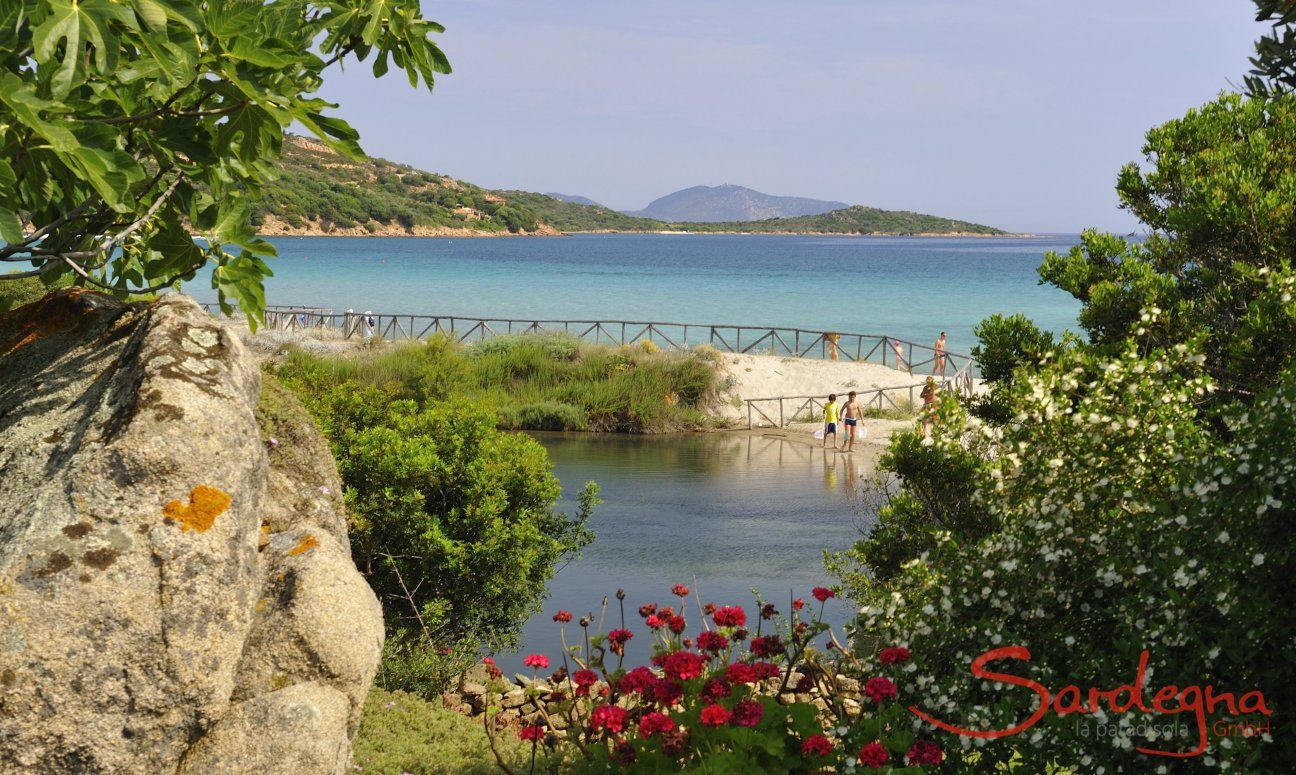 Sardinia