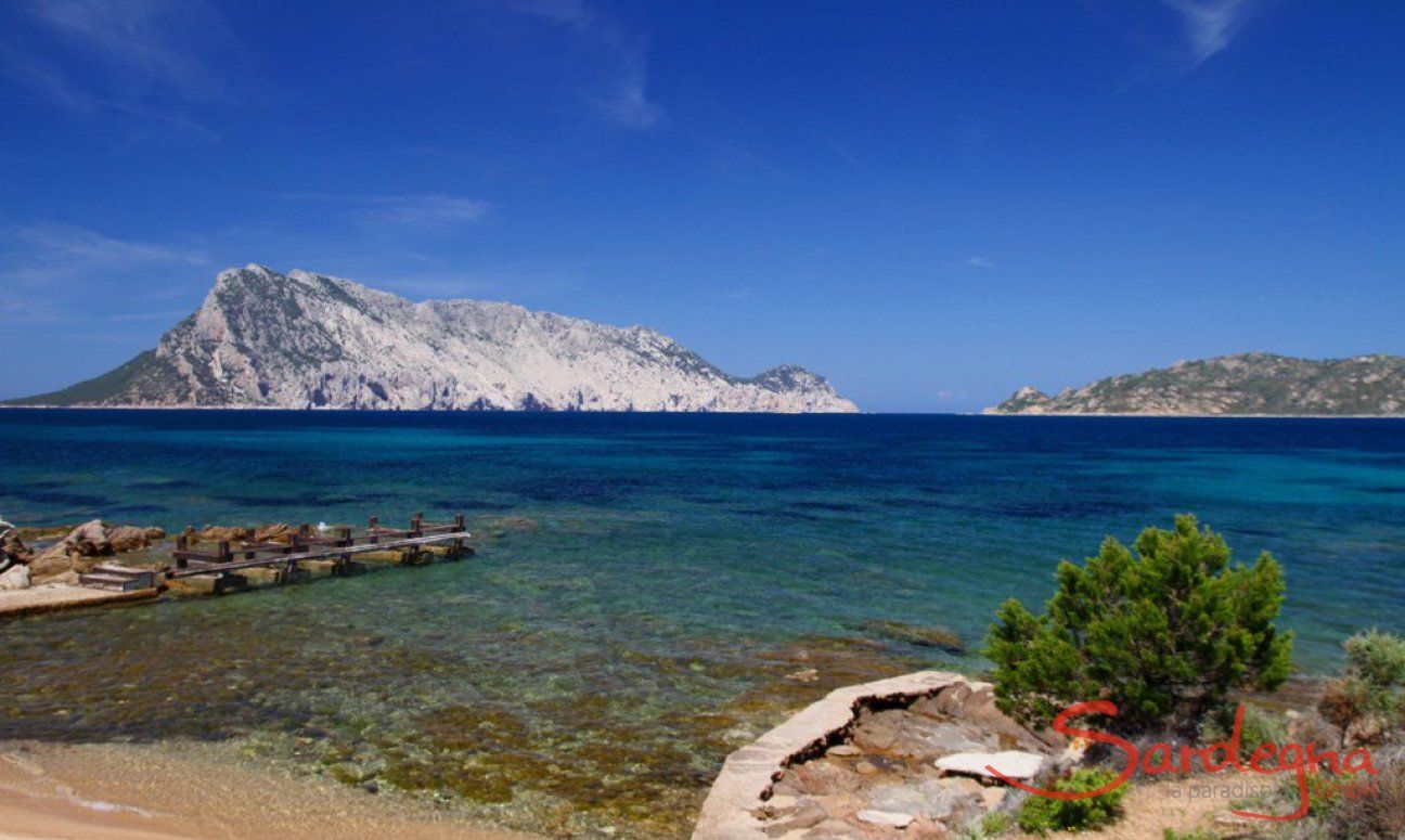 Villa Cala Ginepro | Beach nearby the house Beach nearby the house