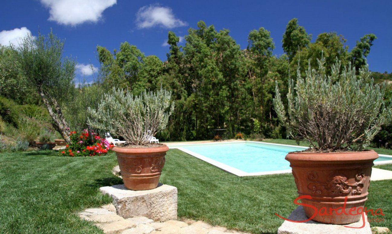 Villa Caroline | Groomed and beautiful garden Groomed and beautiful garden