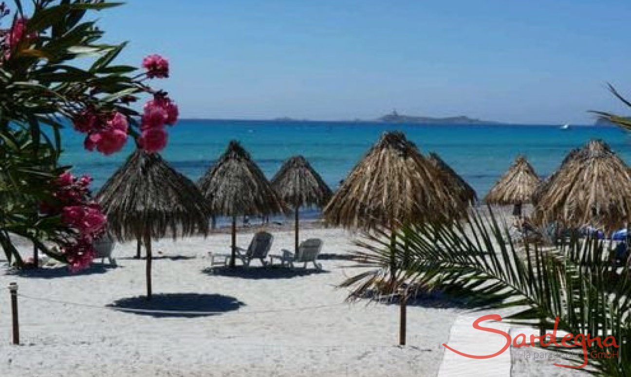Villa Liliana | Ombrella and sunlounges for rent just in front of Villa Liliana Ombrella and sunlounges for rent just in front of Villa Liliana