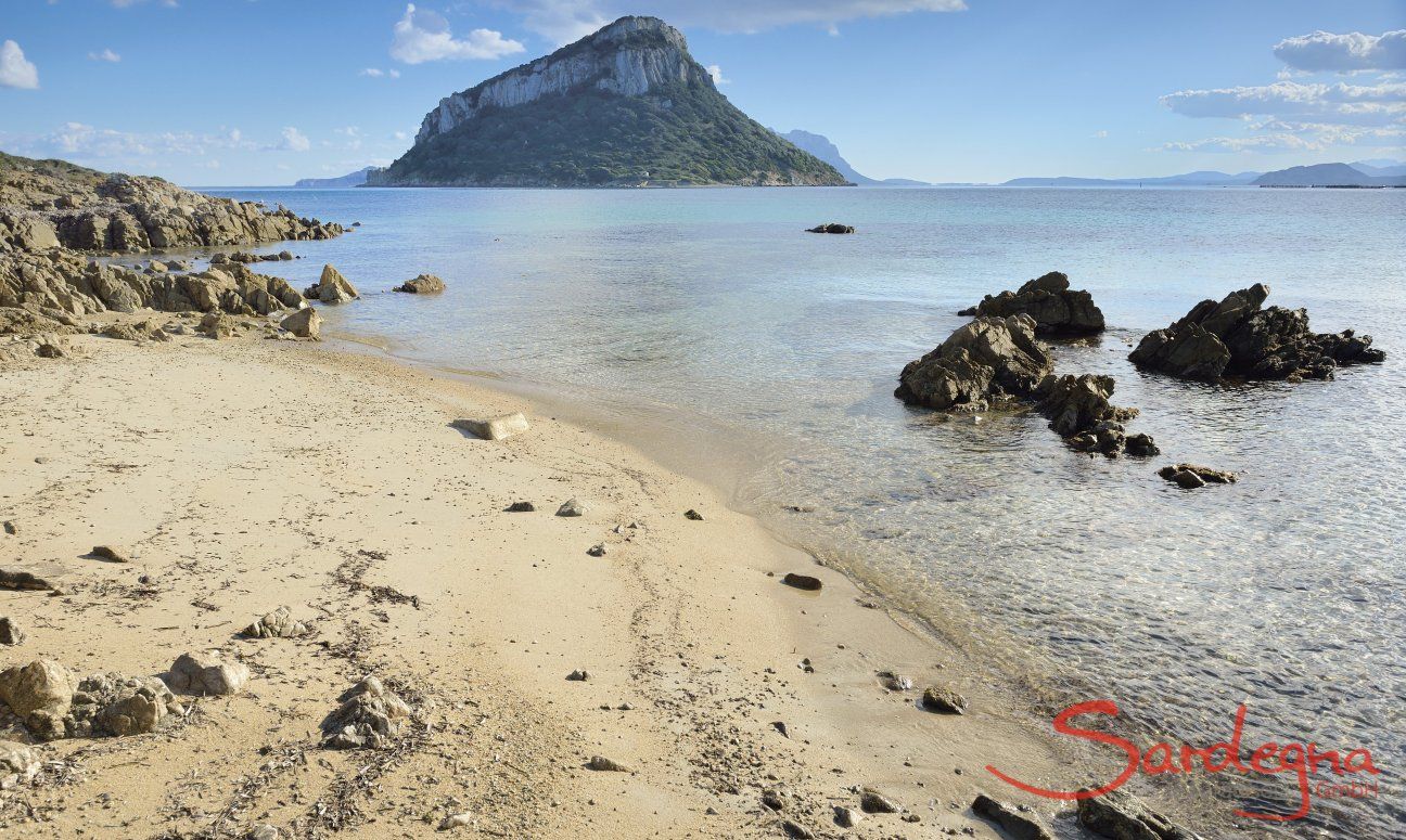 Beach in front of the villa
