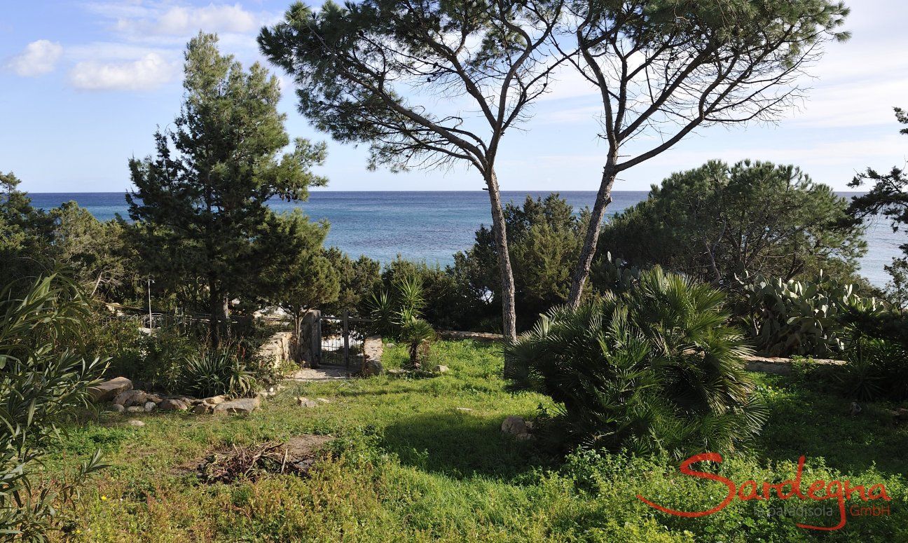 Apartment Cala Liberotto I | View towards the sea from the terrace View towards the sea from the terrace