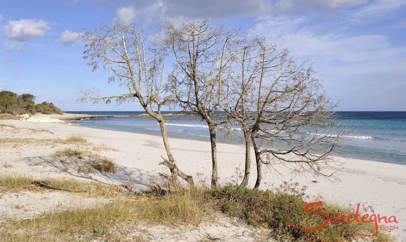 Cala Ginepro is just one of the beautiful beaches of the gulf of Orosei