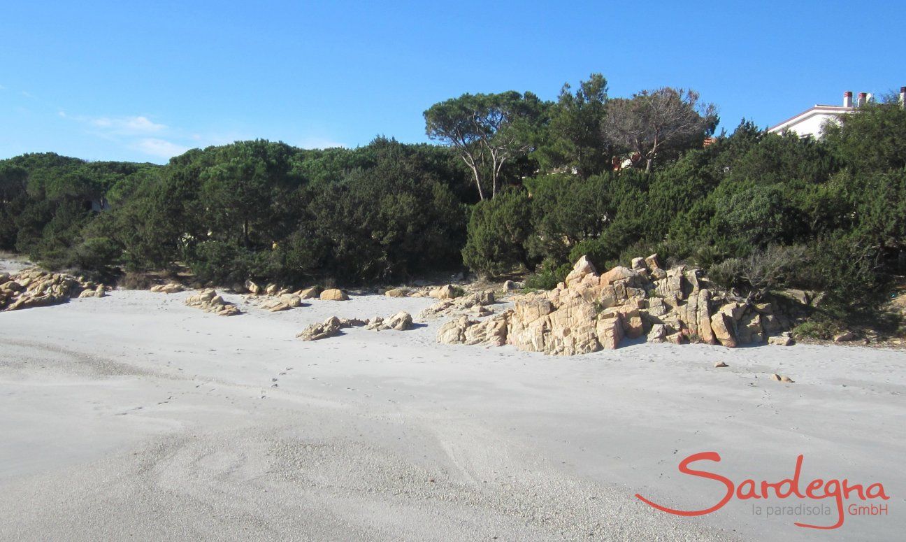 Beach in front of the house 