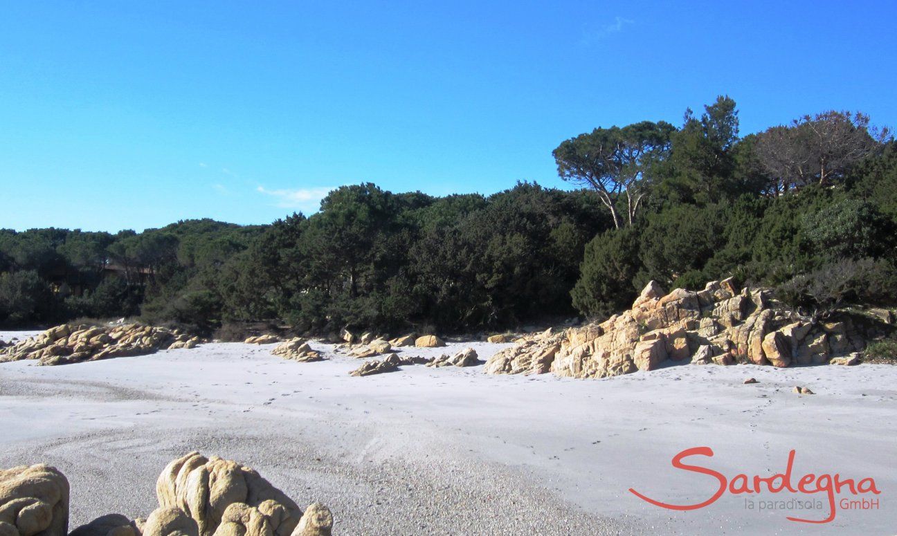Apartment Cala Liberotto I | Beach near the house Beach near the house