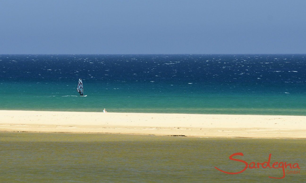 Windsurf in Chia