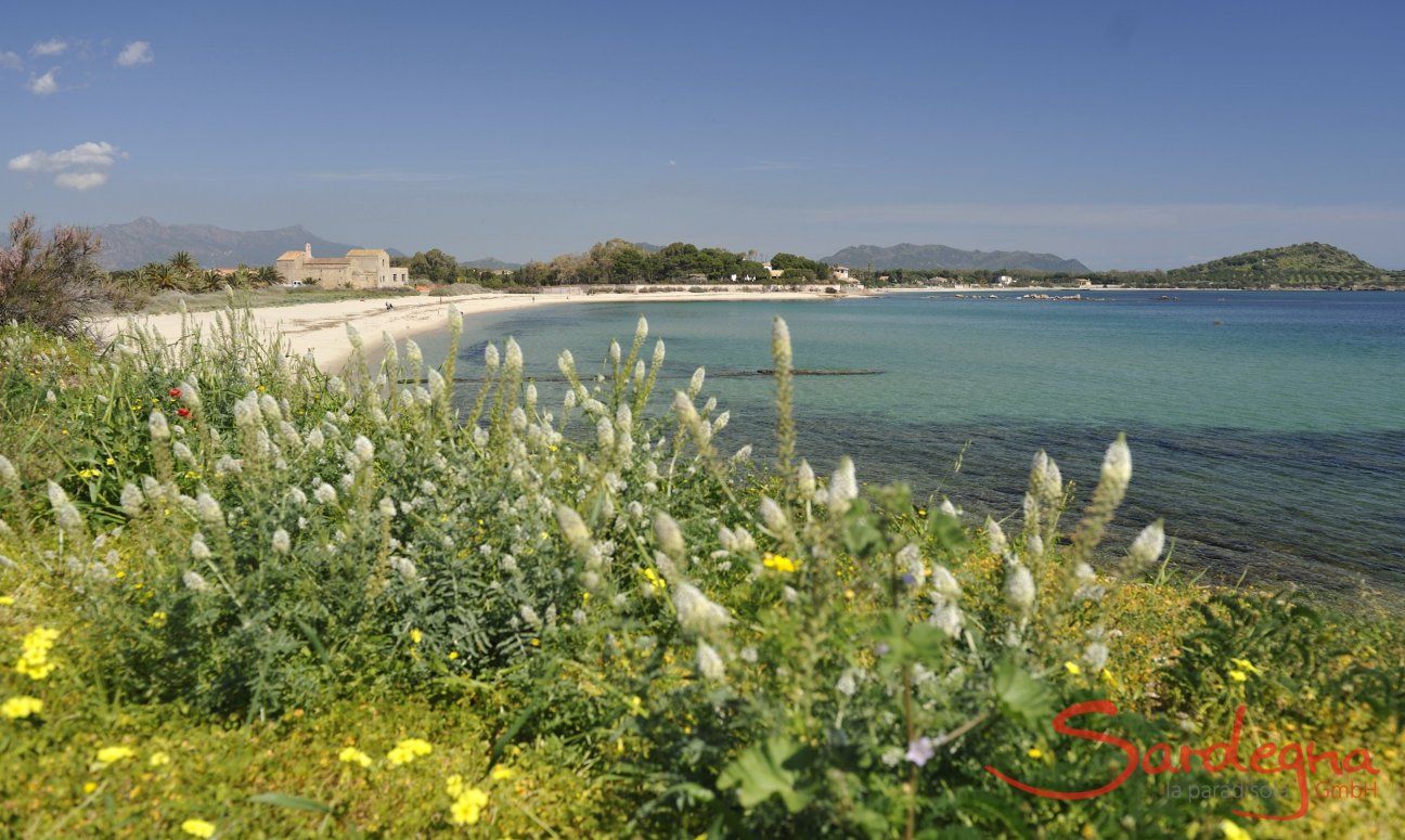 Sardinia