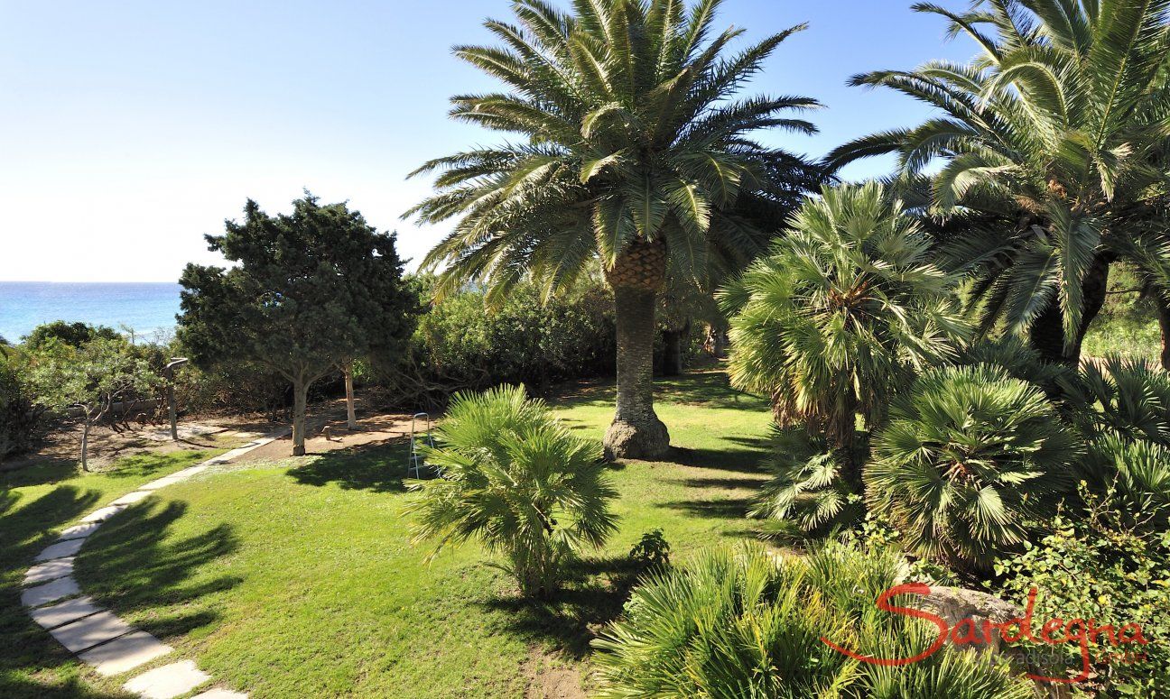 Villa Nautilus | Groomed garden with palm tree and sea view Groomed garden with a sea view
