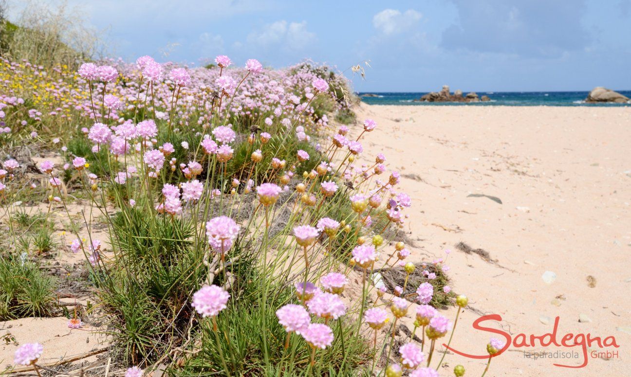 Beach Riu li Saldi - 10 Minutes with car