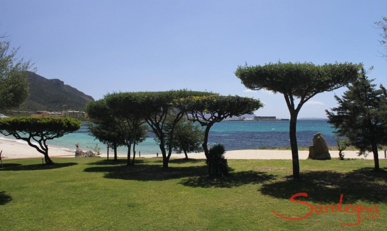 Sea in front of the house