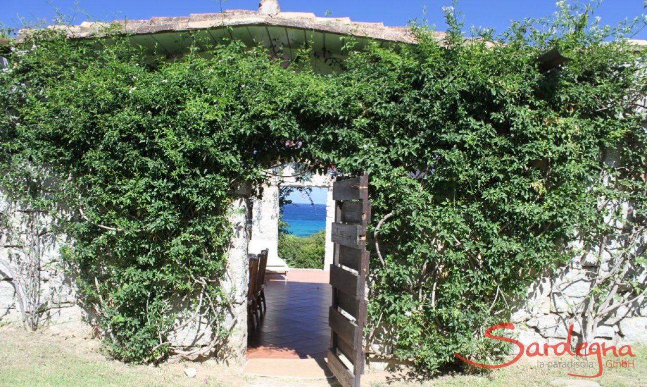 Entrance covered with a climbing plant of Casa 8 in Sant Elmo