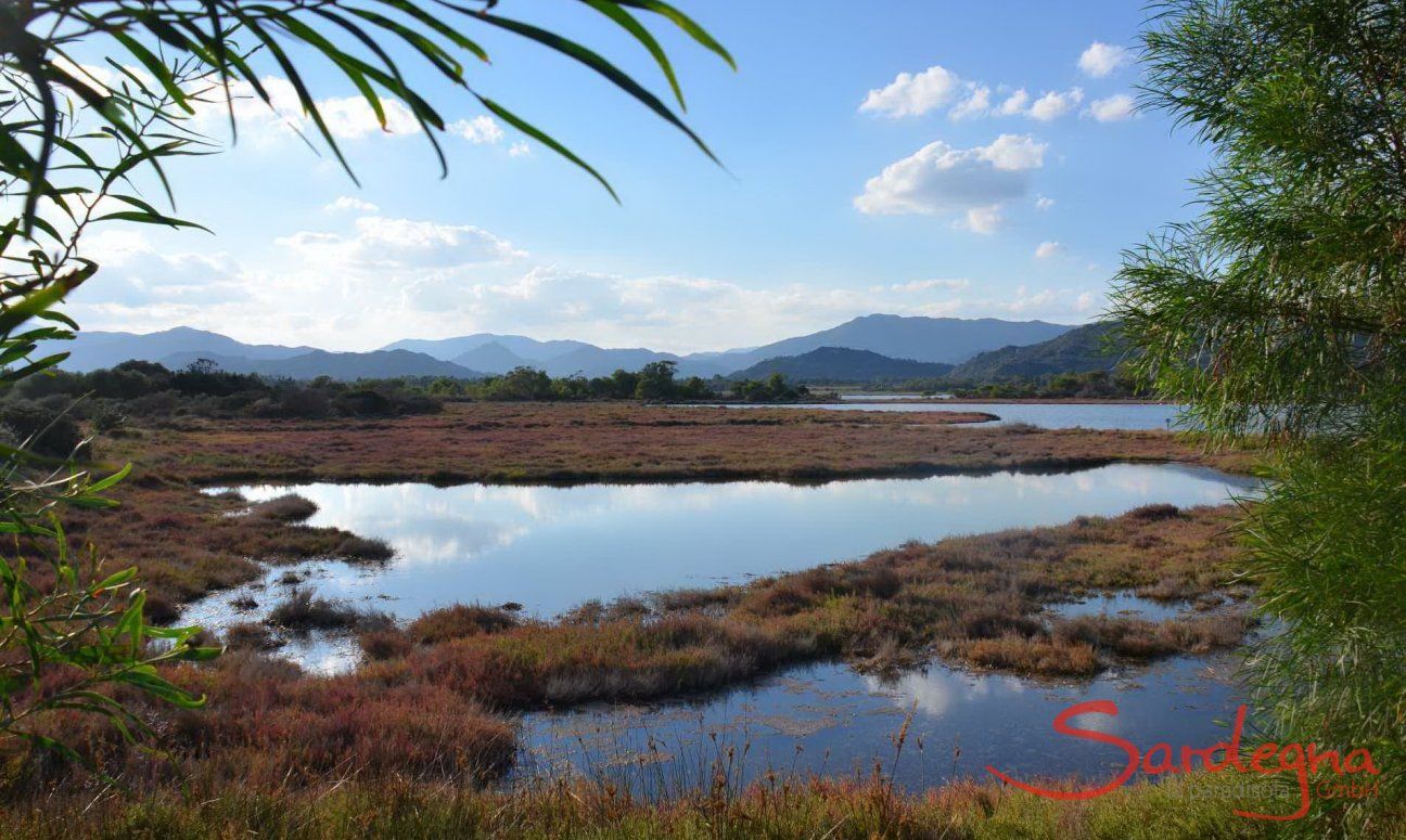 Wetlands in the delta of the river Flumendosa