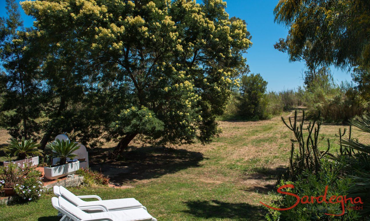 Apartment Orri 2 | Garden with sunbeds Garden with sunbeds