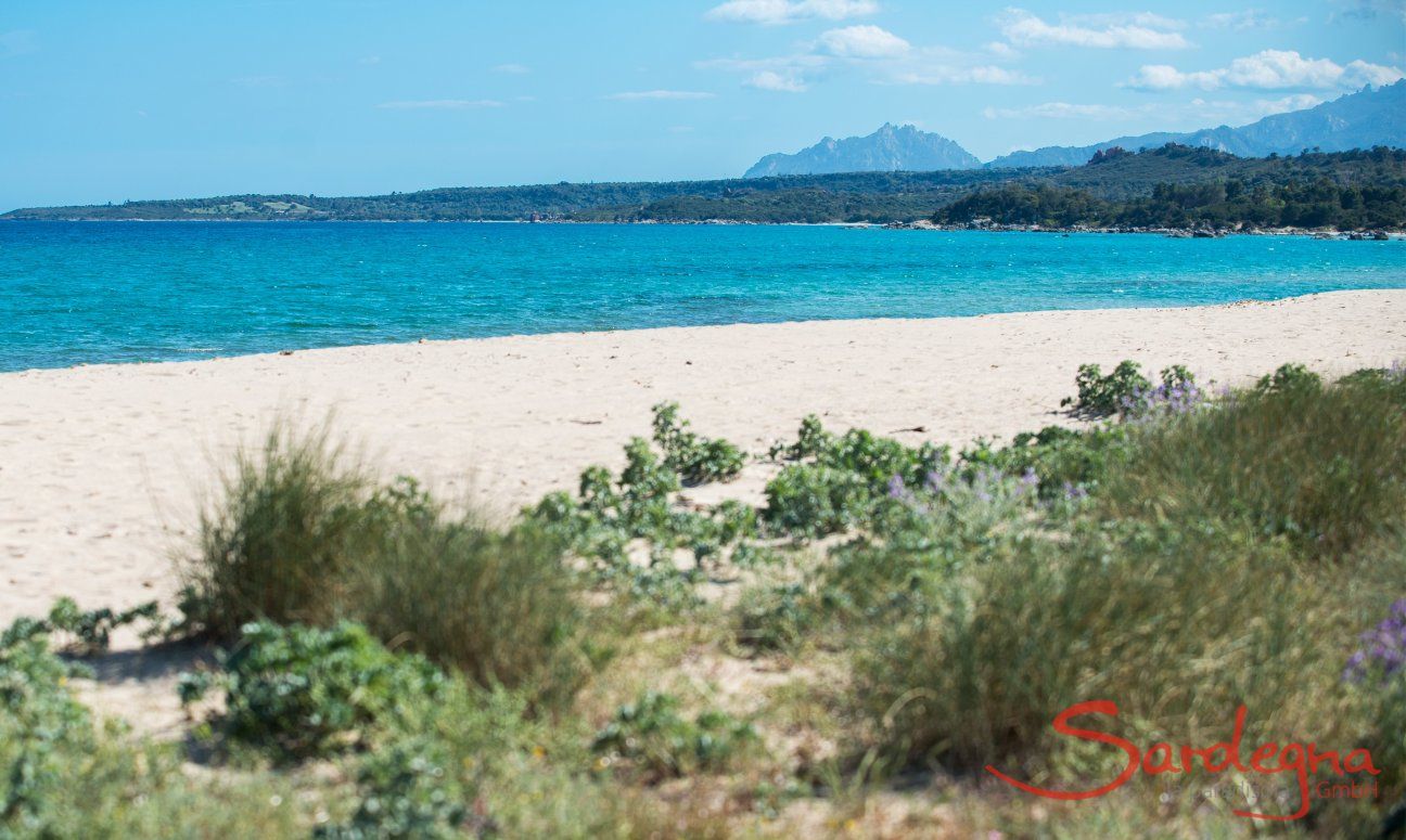Apartment Orri 3 | Beach in front of the house, 30 m. Beach in front of the house