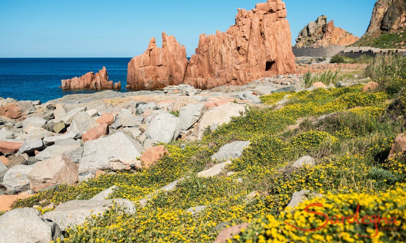 Apartment Orri 3 | Excursion to the red rocks in Arbatax 6 km Sight; Rocce Rosse, Arbatax