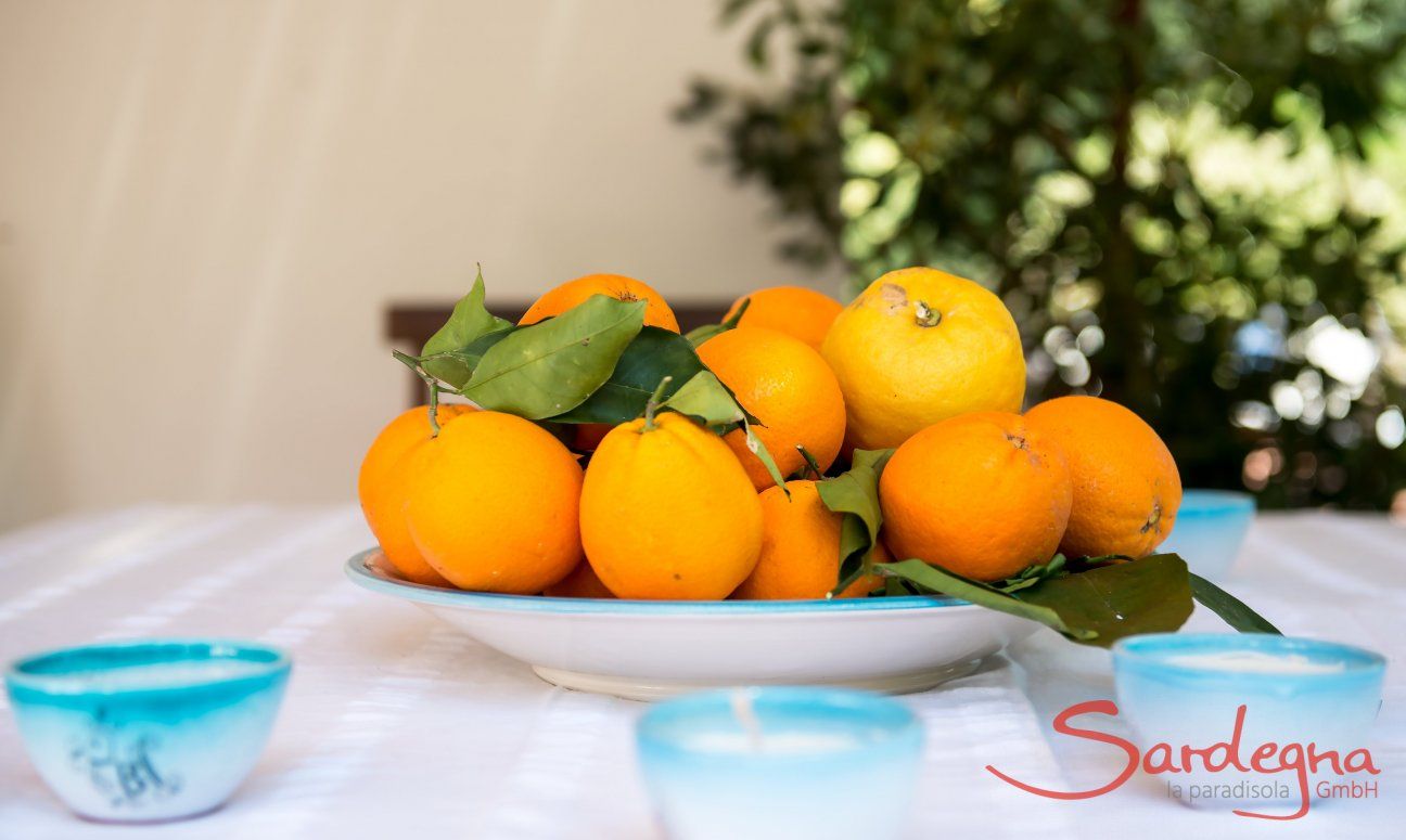 Apartment Orri 2 | Fresh sardinian oranges on the table in the garden Still life