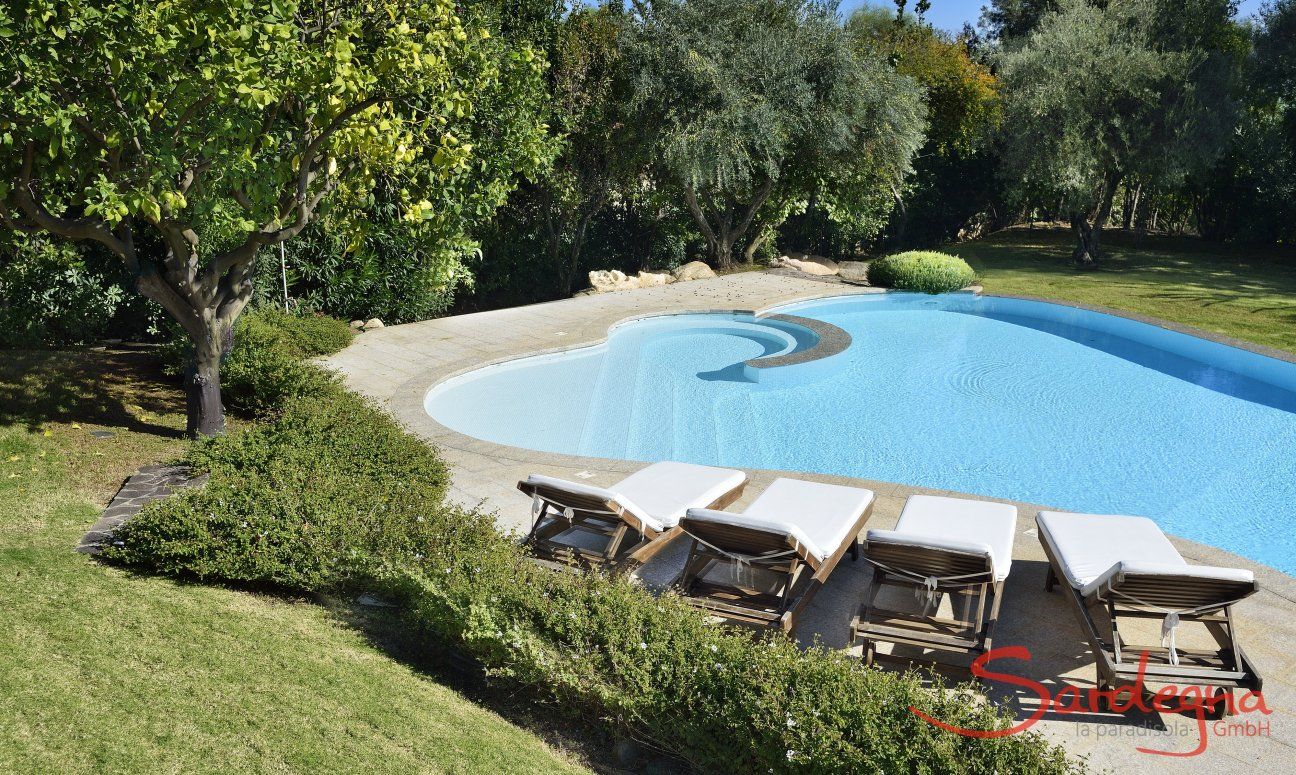Villa Ulivi 12 | Pool with loungers and lemon tree Pool