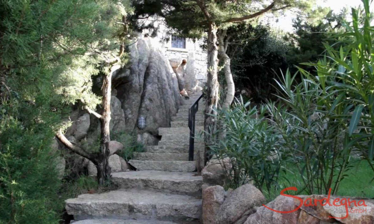 Villa Domus 9d | Video Domus 9d Video Domus 9d