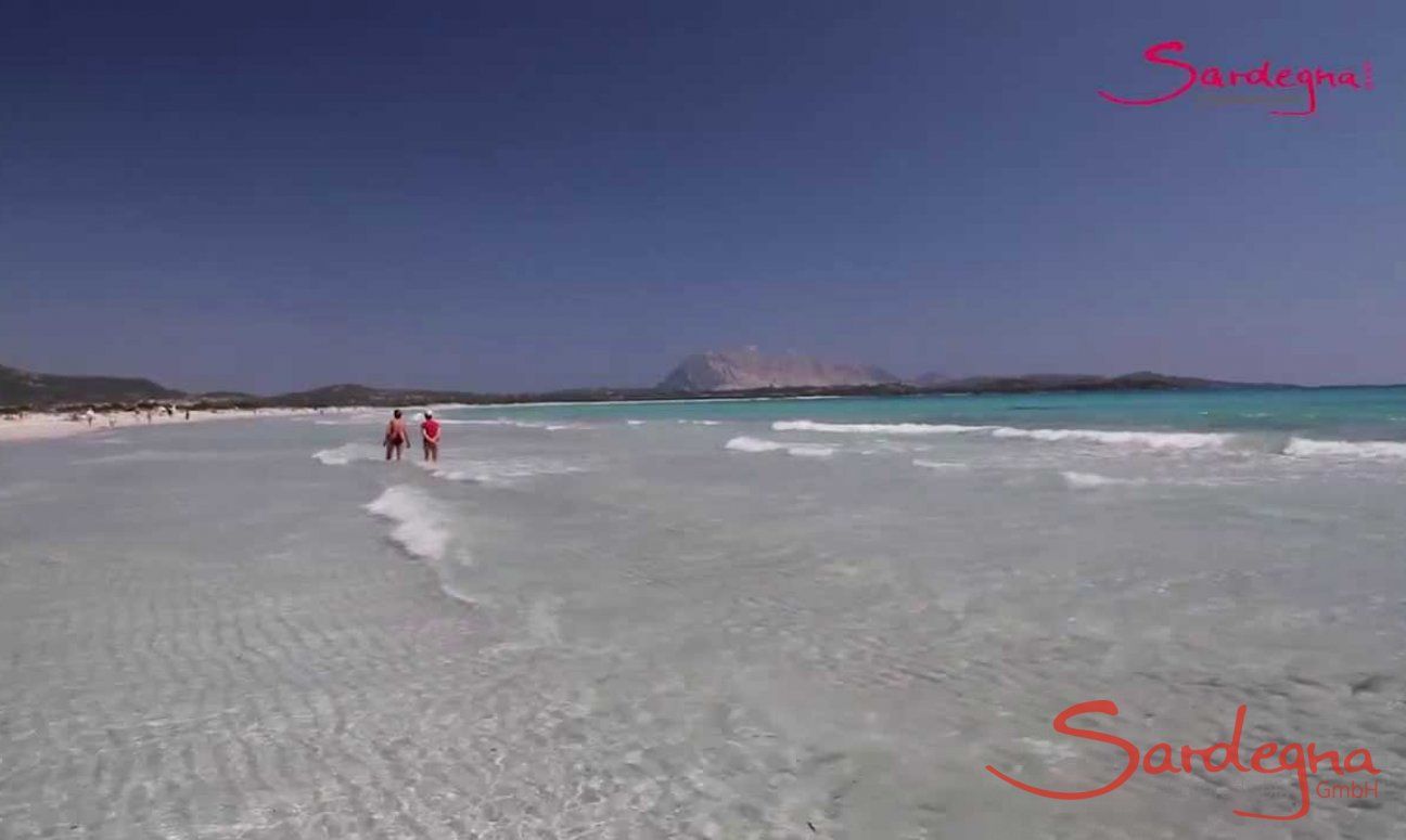 Video Beach La Cinta, San Teodoro 