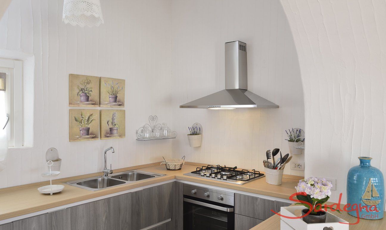 Li Conchi 16 | Modern kitchen with gas stove and oven Kitchen