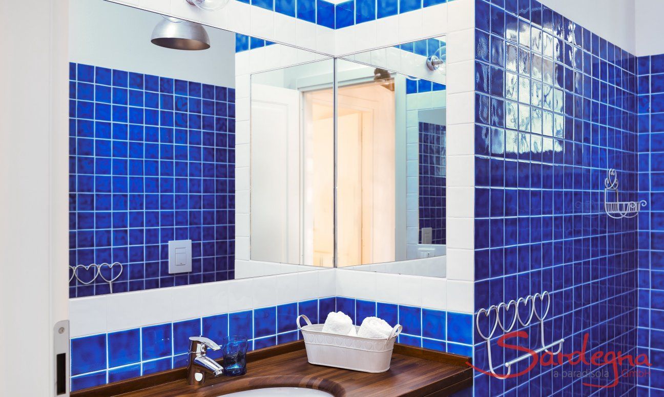 Li Conchi 16 | Bathroom 2 with shower Bathroom