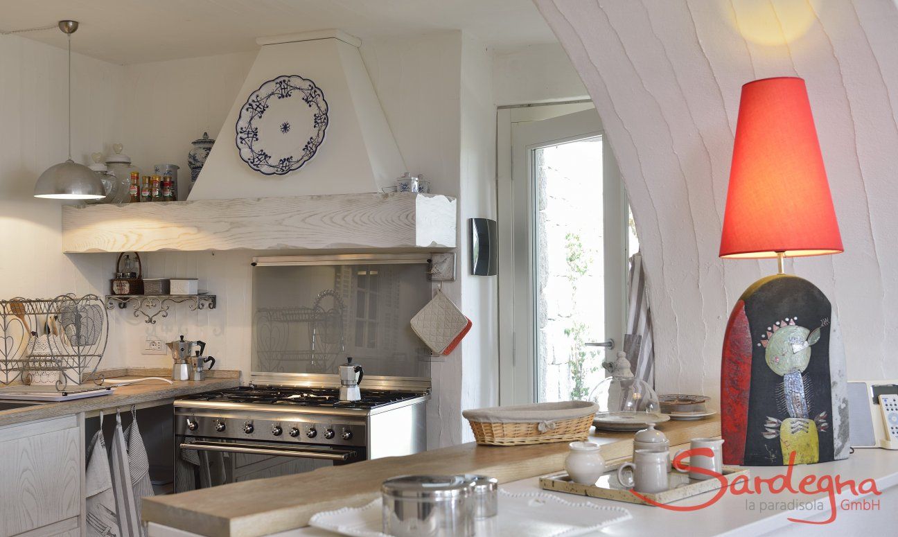 Li Conchi 8 | Modern kitchen with all essential devices Modern kitchen