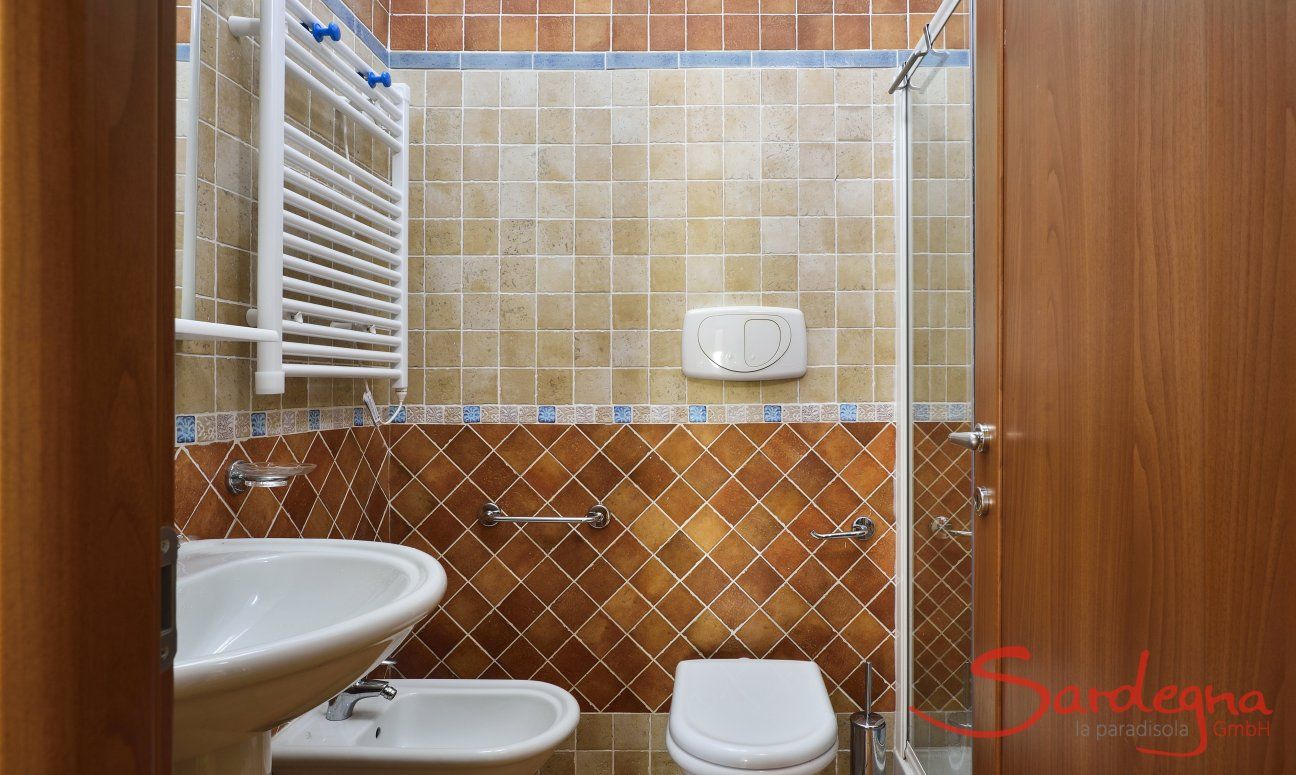 Bathroom with a shower and bidet 