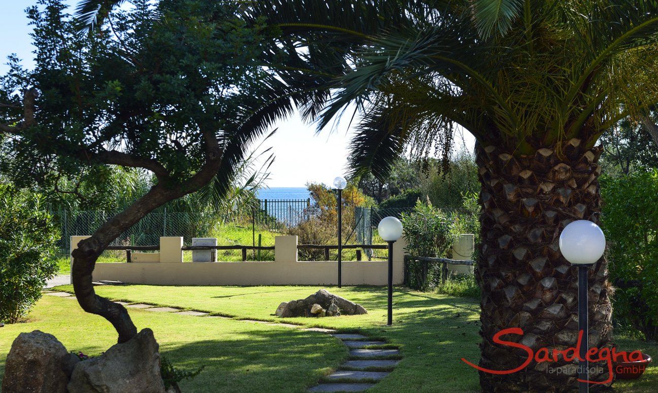 Villa Gaia | Garden in front of the house with huge palm tree Garden in front of the house