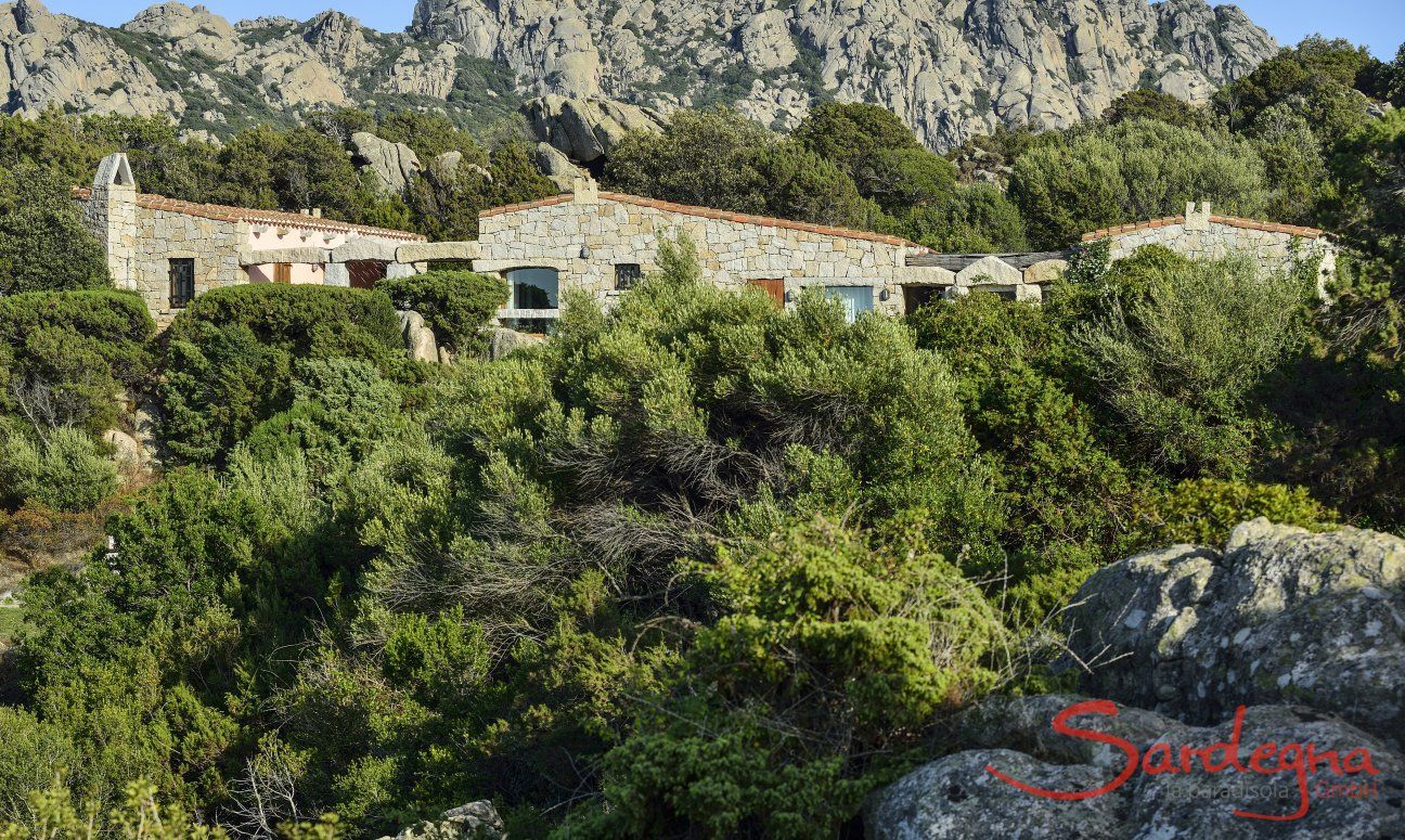 Villa Domus 9d | The villa is in the middle of nature The villa is in the middle of nature