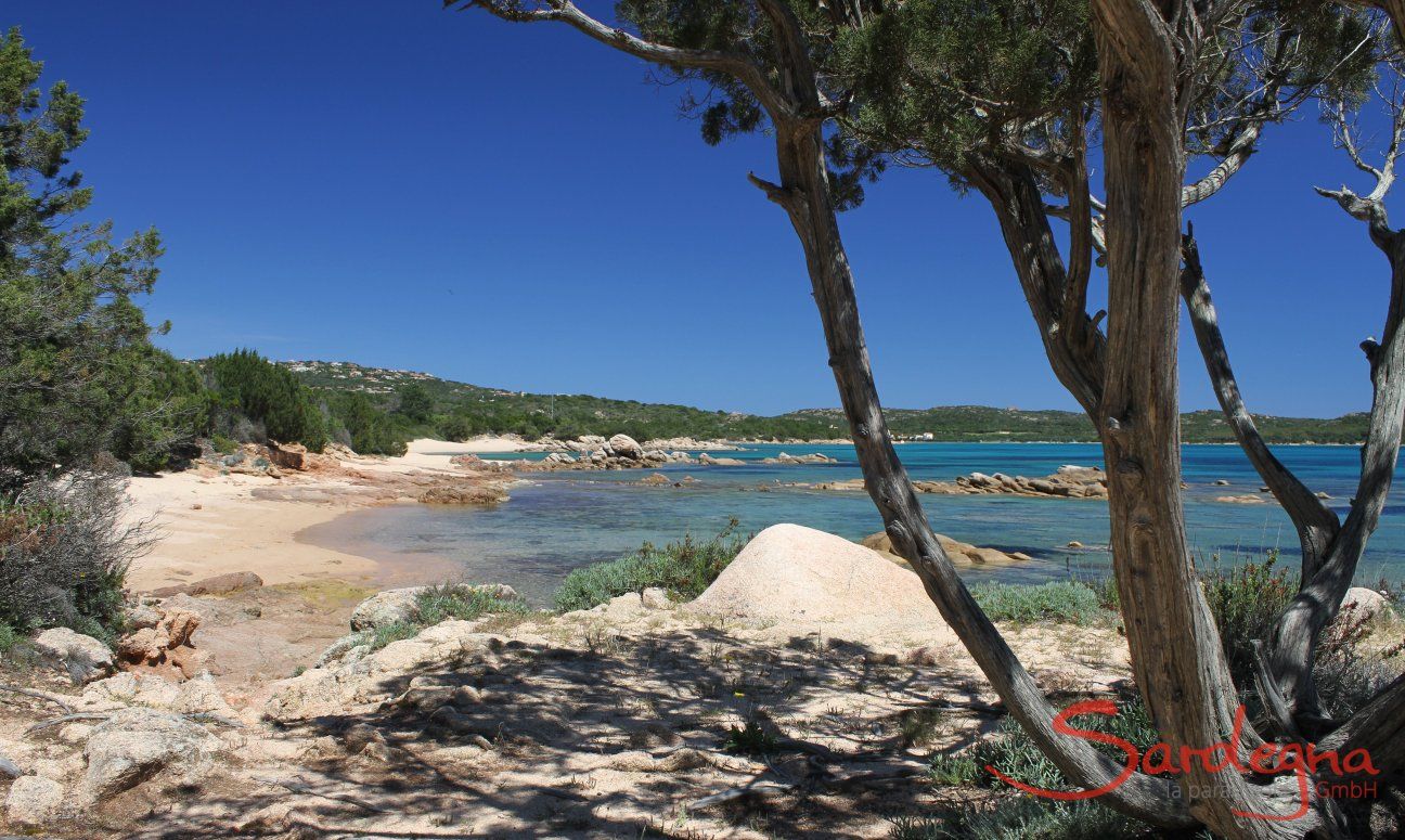 Beach Cala di Volpe with small bays, rocks and green plants