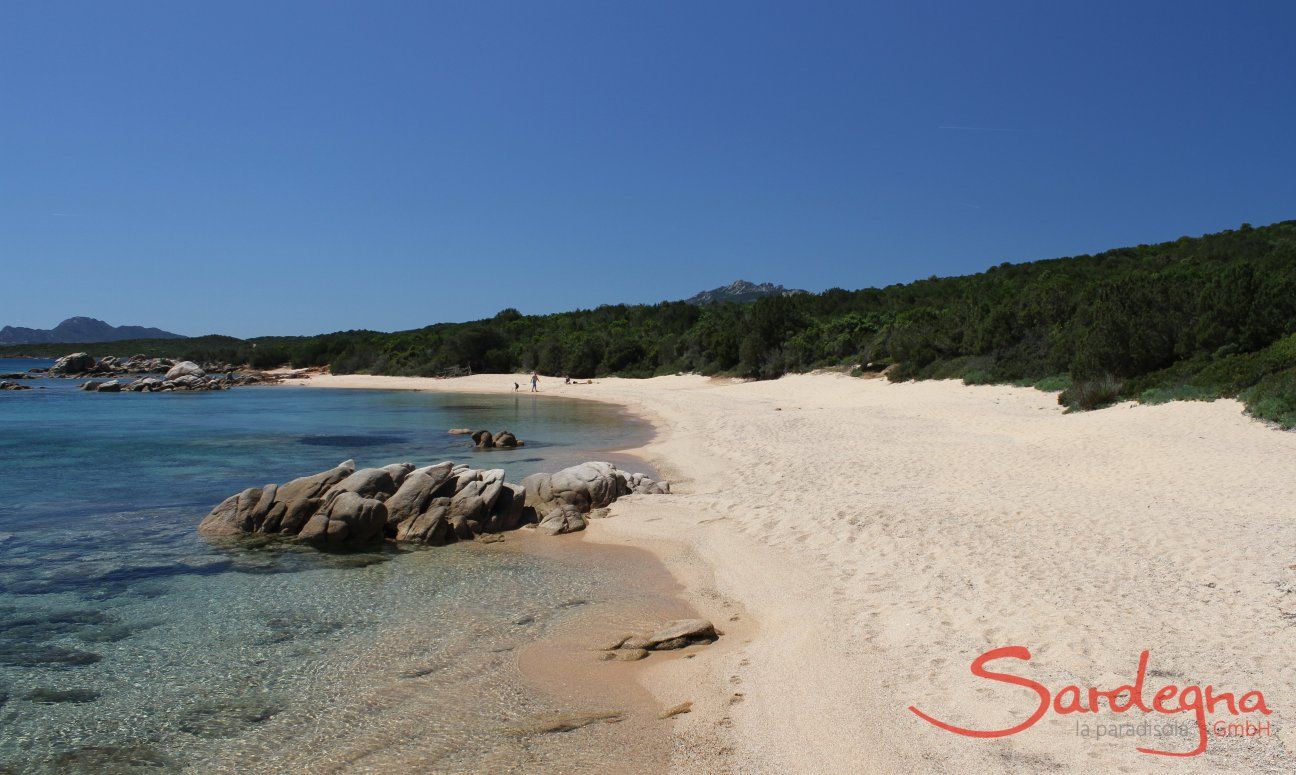 Penthouse Domus 16 | Beach Cala di Volpe, only 16 km. away Beach Cala di Volpe, only 16 km. away