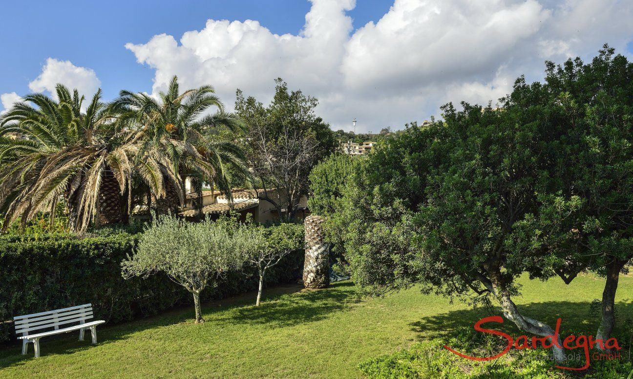 Groomed and green garden of the villa