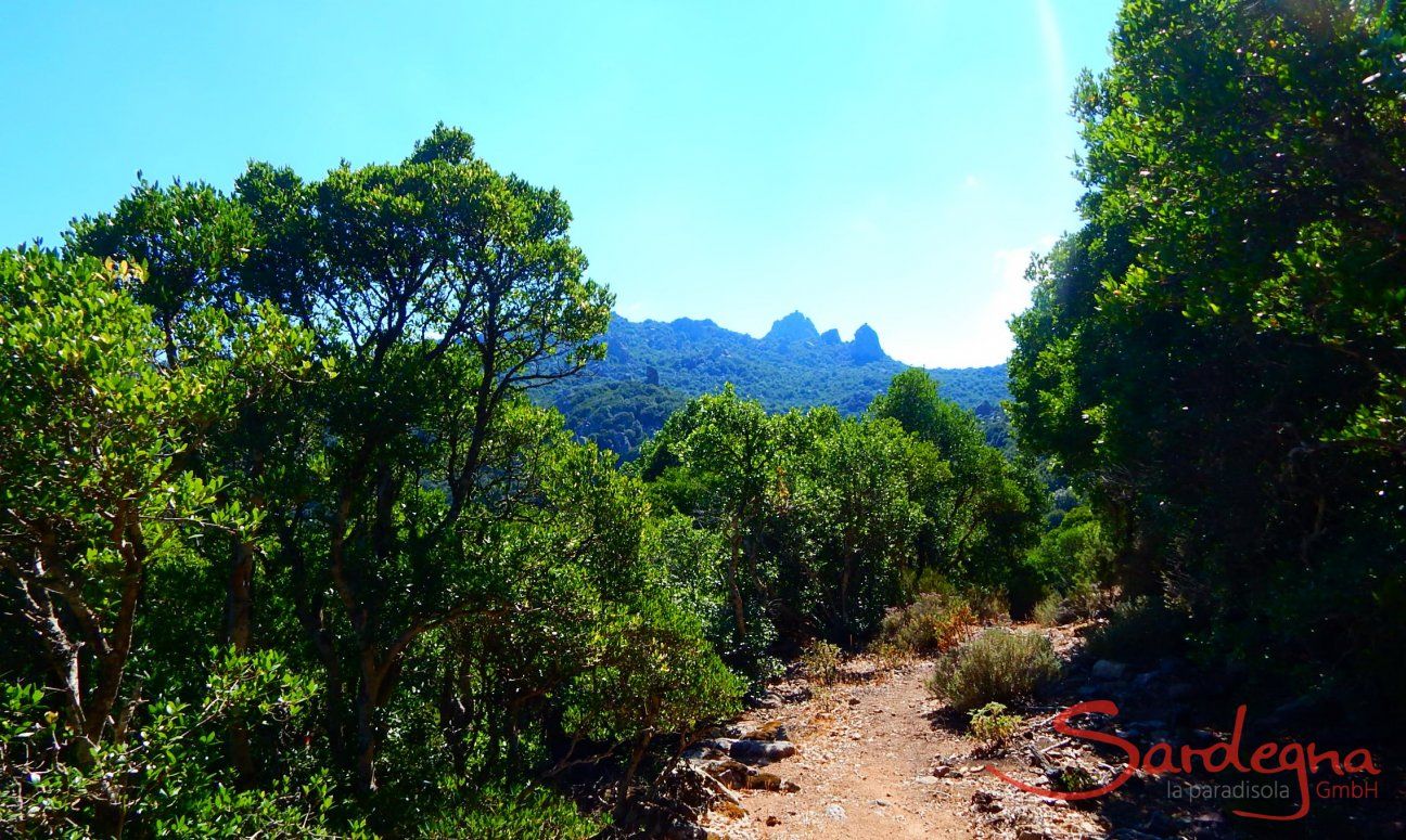 Sardinia