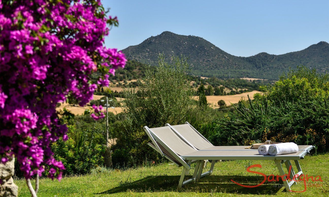 Li Conchi 4 | Garden with sunbeds Garden
