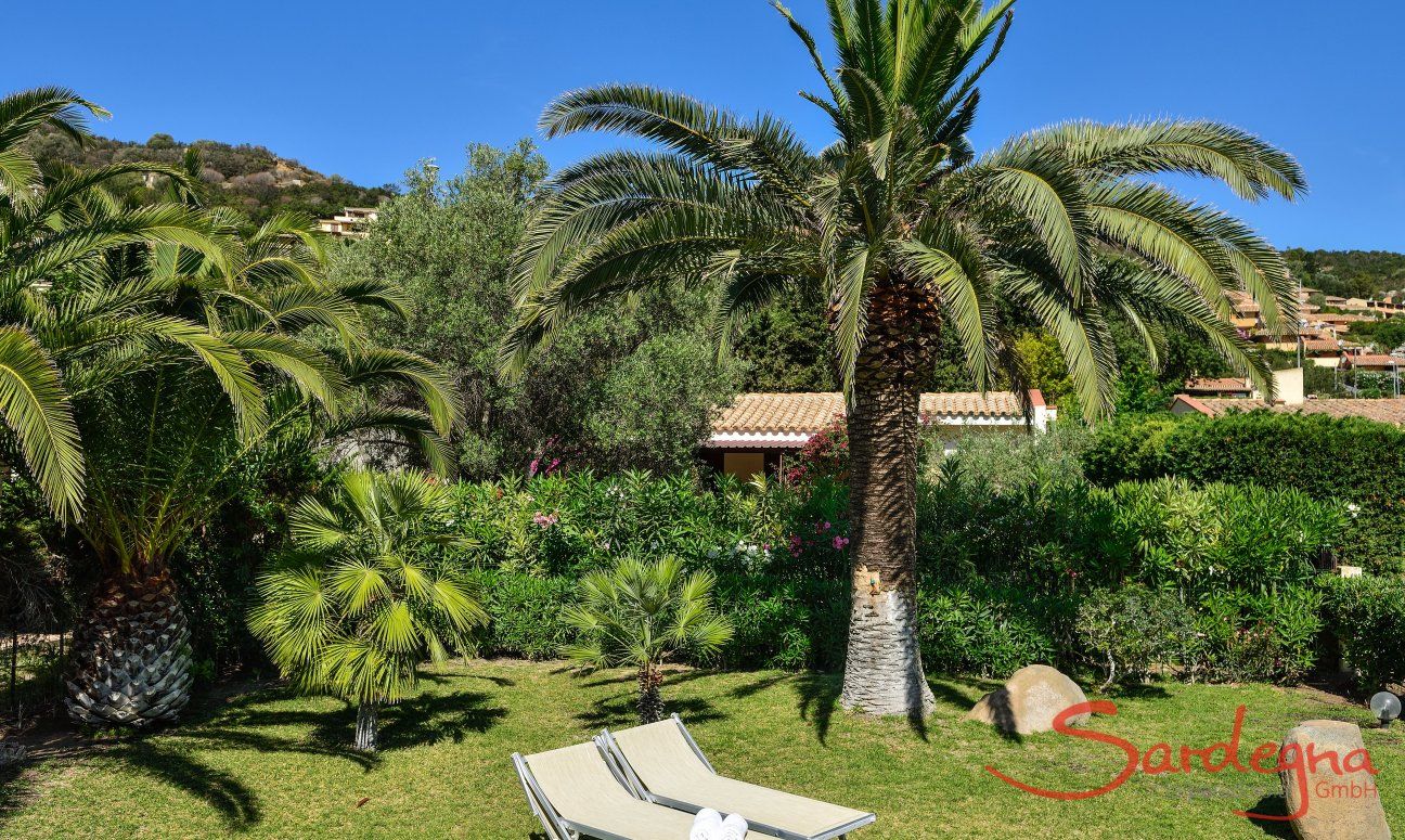 Villa Chiara | Garden with palm trees and sunbeds Garden with palm trees and sunbeds
